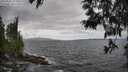 ./images/koeye/fitz-hugh/20250531/fitz-hugh20250531_152010M.jpg