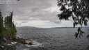 ./images/koeye/fitz-hugh/20250531/fitz-hugh20250531_152510M.jpg
