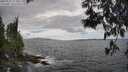 ./images/koeye/fitz-hugh/20250531/fitz-hugh20250531_153011M.jpg