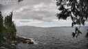 ./images/koeye/fitz-hugh/20250531/fitz-hugh20250531_154010M.jpg
