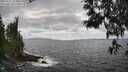 ./images/koeye/fitz-hugh/20250531/fitz-hugh20250531_154510M.jpg