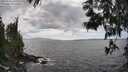 ./images/koeye/fitz-hugh/20250531/fitz-hugh20250531_160510M.jpg