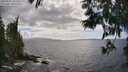 ./images/koeye/fitz-hugh/20250531/fitz-hugh20250531_161510M.jpg