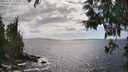 ./images/koeye/fitz-hugh/20250531/fitz-hugh20250531_162010M.jpg