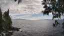./images/koeye/fitz-hugh/20250531/fitz-hugh20250531_163011M.jpg