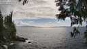 ./images/koeye/fitz-hugh/20250531/fitz-hugh20250531_163509M.jpg
