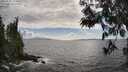 ./images/koeye/fitz-hugh/20250531/fitz-hugh20250531_164010M.jpg
