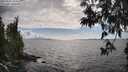 ./images/koeye/fitz-hugh/20250531/fitz-hugh20250531_164510M.jpg