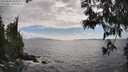 ./images/koeye/fitz-hugh/20250531/fitz-hugh20250531_165009M.jpg