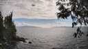 ./images/koeye/fitz-hugh/20250531/fitz-hugh20250531_165510M.jpg