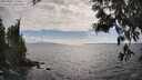 ./images/koeye/fitz-hugh/20250531/fitz-hugh20250531_170012M.jpg