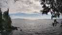 ./images/koeye/fitz-hugh/20250531/fitz-hugh20250531_170509M.jpg
