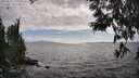 ./images/koeye/fitz-hugh/20250531/fitz-hugh20250531_171010M.jpg