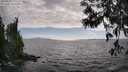 ./images/koeye/fitz-hugh/20250531/fitz-hugh20250531_171511M.jpg