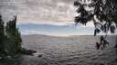 ./images/koeye/fitz-hugh/20250531/fitz-hugh20250531_172010M.jpg