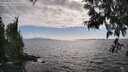 ./images/koeye/fitz-hugh/20250531/fitz-hugh20250531_172510M.jpg