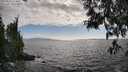 ./images/koeye/fitz-hugh/20250531/fitz-hugh20250531_173011M.jpg