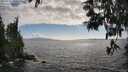 ./images/koeye/fitz-hugh/20250531/fitz-hugh20250531_173510M.jpg