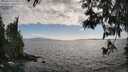 ./images/koeye/fitz-hugh/20250531/fitz-hugh20250531_174010M.jpg