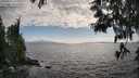 ./images/koeye/fitz-hugh/20250531/fitz-hugh20250531_174510M.jpg