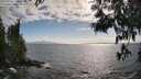 ./images/koeye/fitz-hugh/20250531/fitz-hugh20250531_175510M.jpg