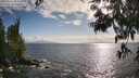 ./images/koeye/fitz-hugh/20250531/fitz-hugh20250531_182009M.jpg