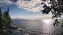 ./images/koeye/fitz-hugh/20250531/fitz-hugh20250531_182509M.jpg