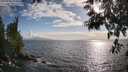 ./images/koeye/fitz-hugh/20250531/fitz-hugh20250531_183509M.jpg