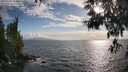 ./images/koeye/fitz-hugh/20250531/fitz-hugh20250531_184010M.jpg