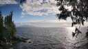 ./images/koeye/fitz-hugh/20250531/fitz-hugh20250531_190010M.jpg