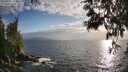 ./images/koeye/fitz-hugh/20250531/fitz-hugh20250531_192009M.jpg