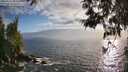 ./images/koeye/fitz-hugh/20250531/fitz-hugh20250531_193009M.jpg