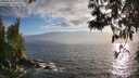 ./images/koeye/fitz-hugh/20250531/fitz-hugh20250531_193509M.jpg