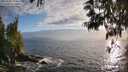 ./images/koeye/fitz-hugh/20250531/fitz-hugh20250531_194507M.jpg