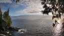 ./images/koeye/fitz-hugh/20250531/fitz-hugh20250531_195508M.jpg