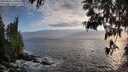 ./images/koeye/fitz-hugh/20250531/fitz-hugh20250531_200010M.jpg