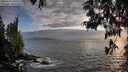 ./images/koeye/fitz-hugh/20250531/fitz-hugh20250531_200508M.jpg
