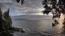 ./images/koeye/fitz-hugh/20250531/fitz-hugh20250531_201007M.jpg
