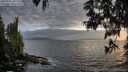 ./images/koeye/fitz-hugh/20250531/fitz-hugh20250531_201509M.jpg
