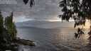 ./images/koeye/fitz-hugh/20250531/fitz-hugh20250531_202008M.jpg