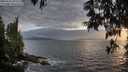 ./images/koeye/fitz-hugh/20250531/fitz-hugh20250531_202505M.jpg