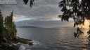 ./images/koeye/fitz-hugh/20250531/fitz-hugh20250531_203009M.jpg