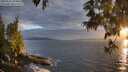 ./images/koeye/fitz-hugh/20250531/fitz-hugh20250531_204009M.jpg