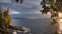 ./images/koeye/fitz-hugh/20250531/fitz-hugh20250531_204508M.jpg