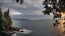 ./images/koeye/fitz-hugh/20250531/fitz-hugh20250531_205009M.jpg