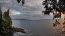 ./images/koeye/fitz-hugh/20250531/fitz-hugh20250531_205507M.jpg