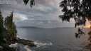 ./images/koeye/fitz-hugh/20250531/fitz-hugh20250531_210509M.jpg