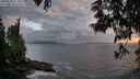 ./images/koeye/fitz-hugh/20250531/fitz-hugh20250531_211009M.jpg