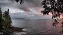 ./images/koeye/fitz-hugh/20250531/fitz-hugh20250531_213009M.jpg