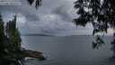 ./images/koeye/fitz-hugh/20250531/fitz-hugh20250531_215009M.jpg